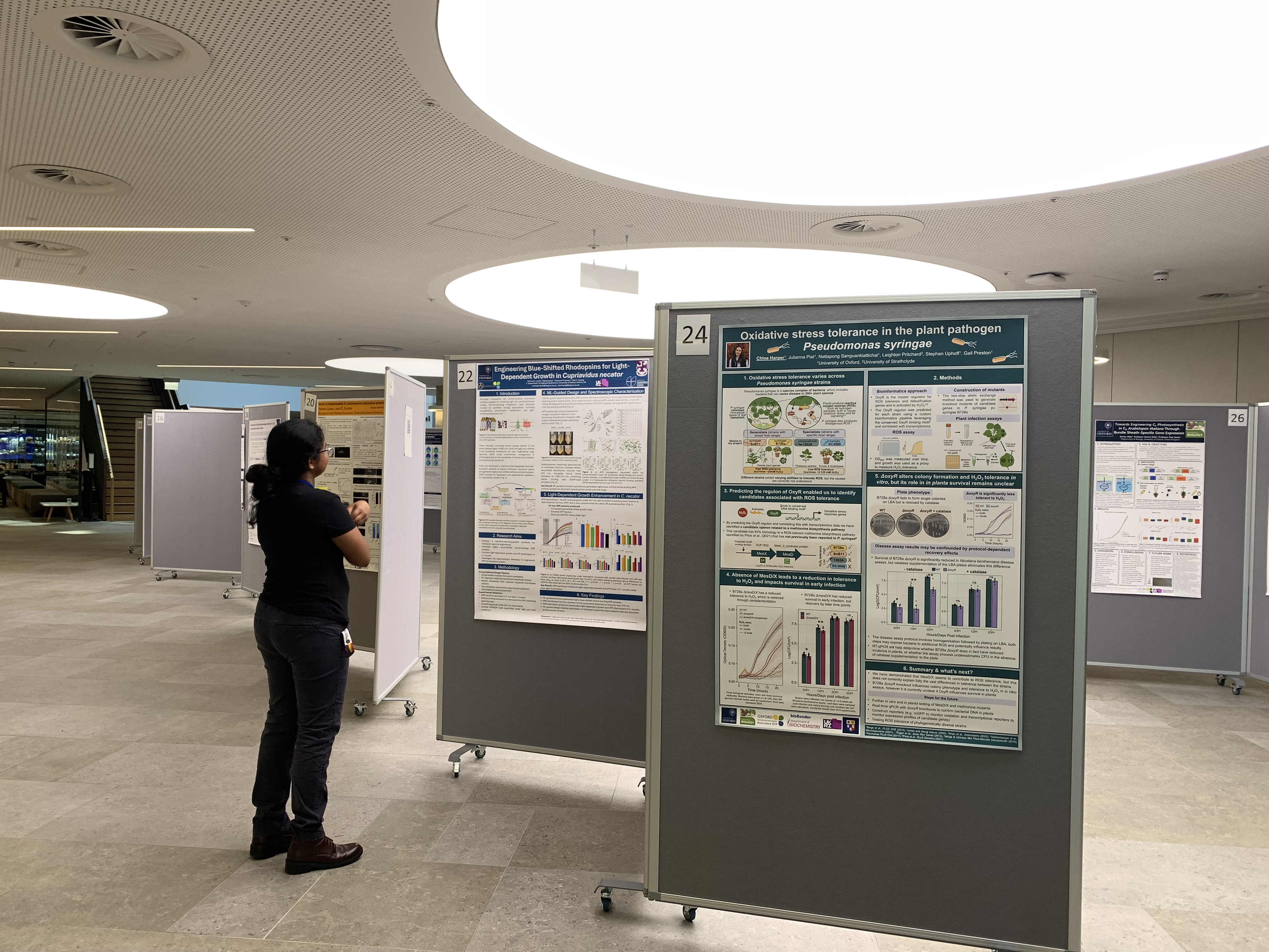 Symposium posters waiting for their audience.