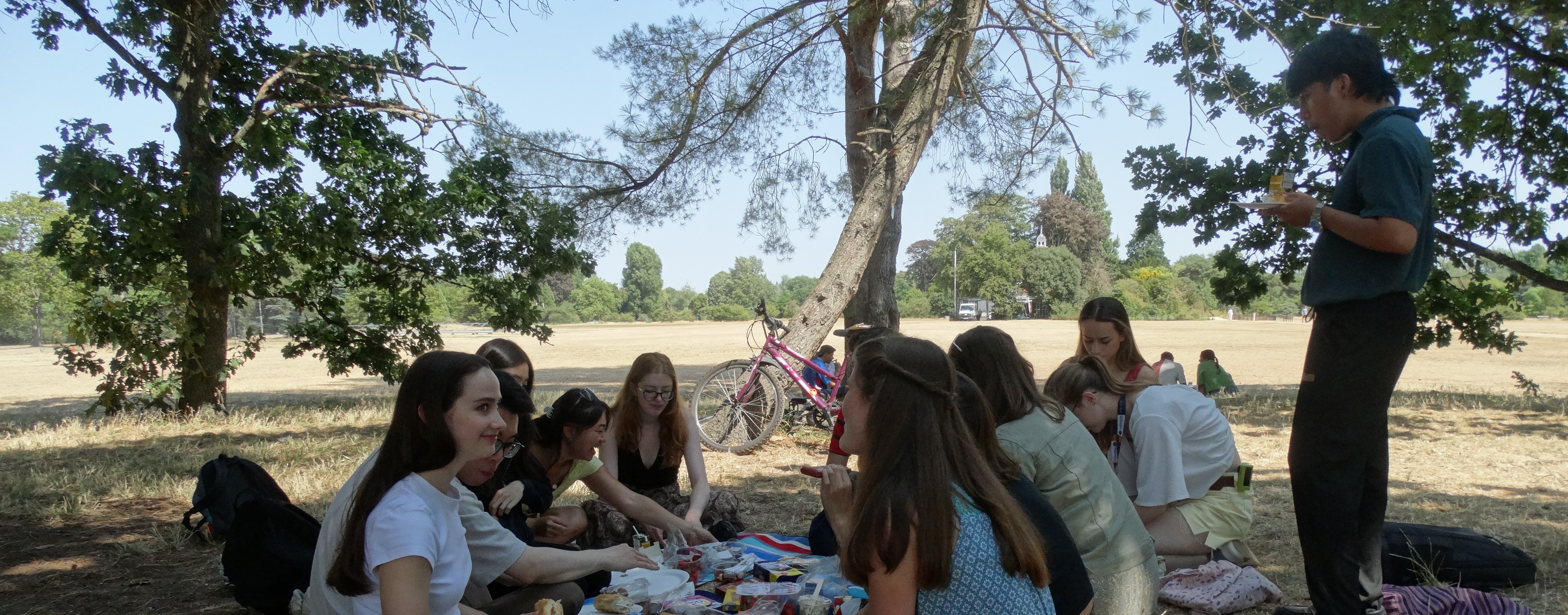Picnic in the University parks